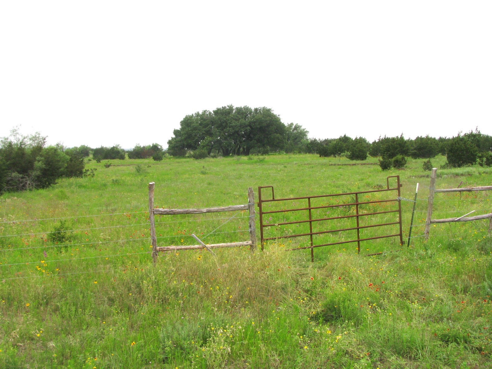 Lot N31 PR 2902