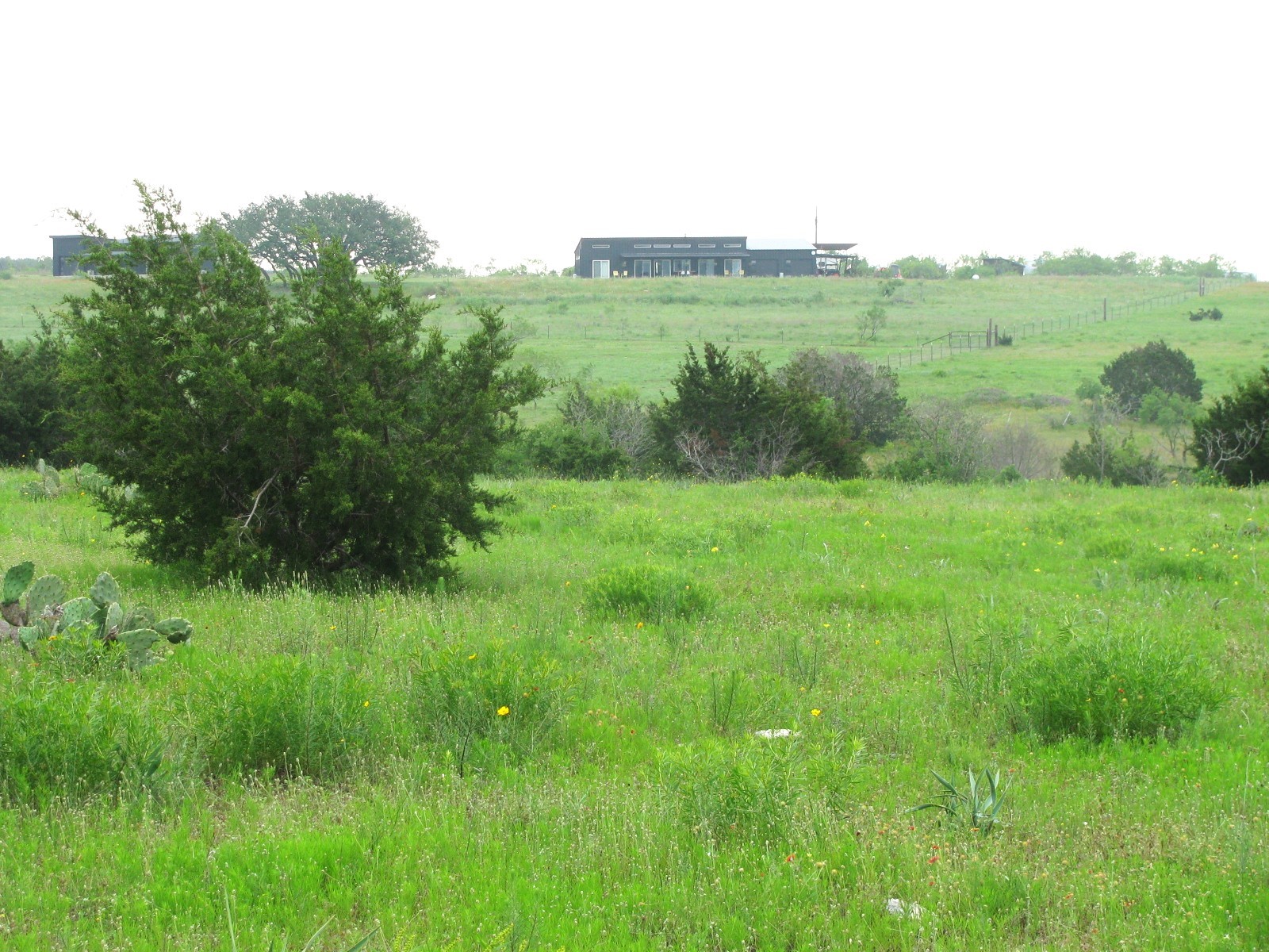 Lot N31 PR 2902