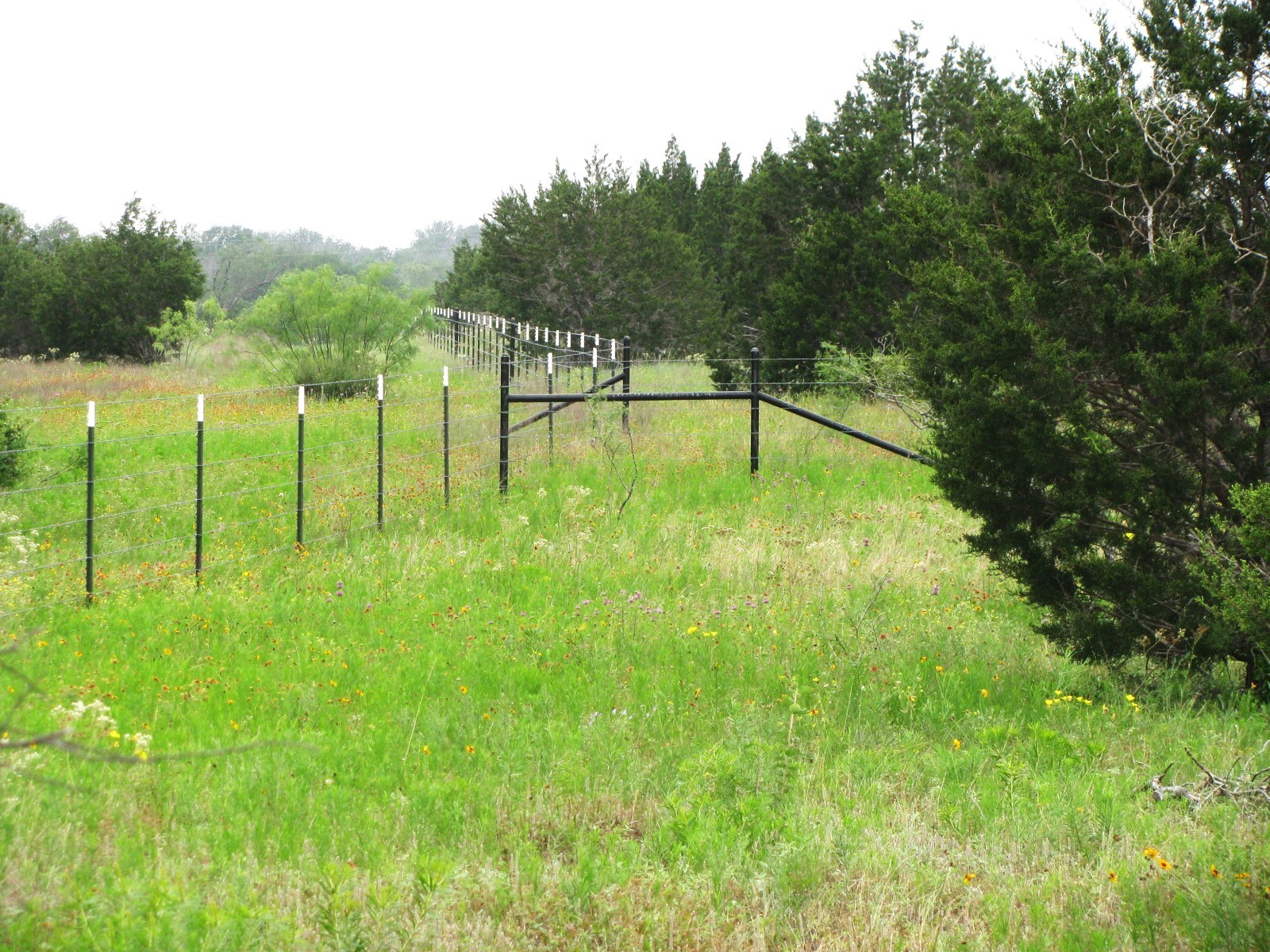 Lot N31 PR 2902