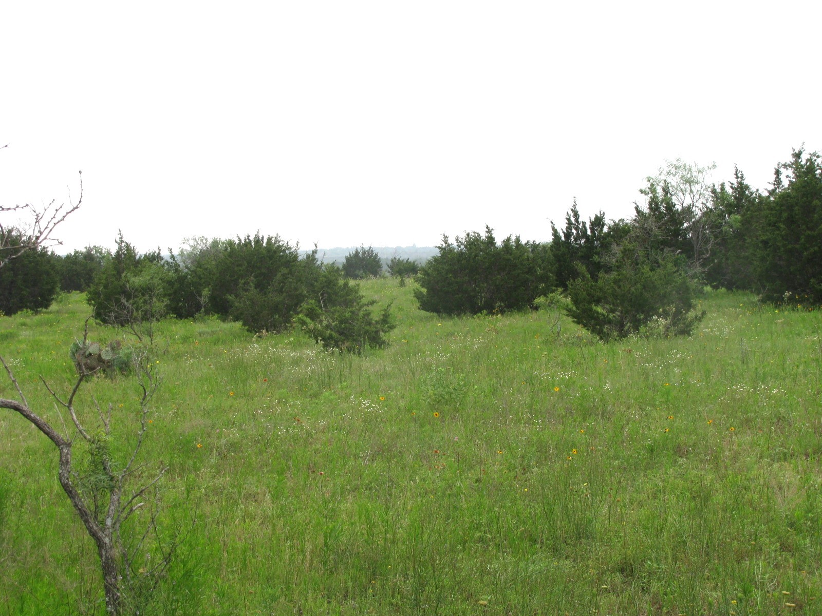 Lot N31 PR 2902