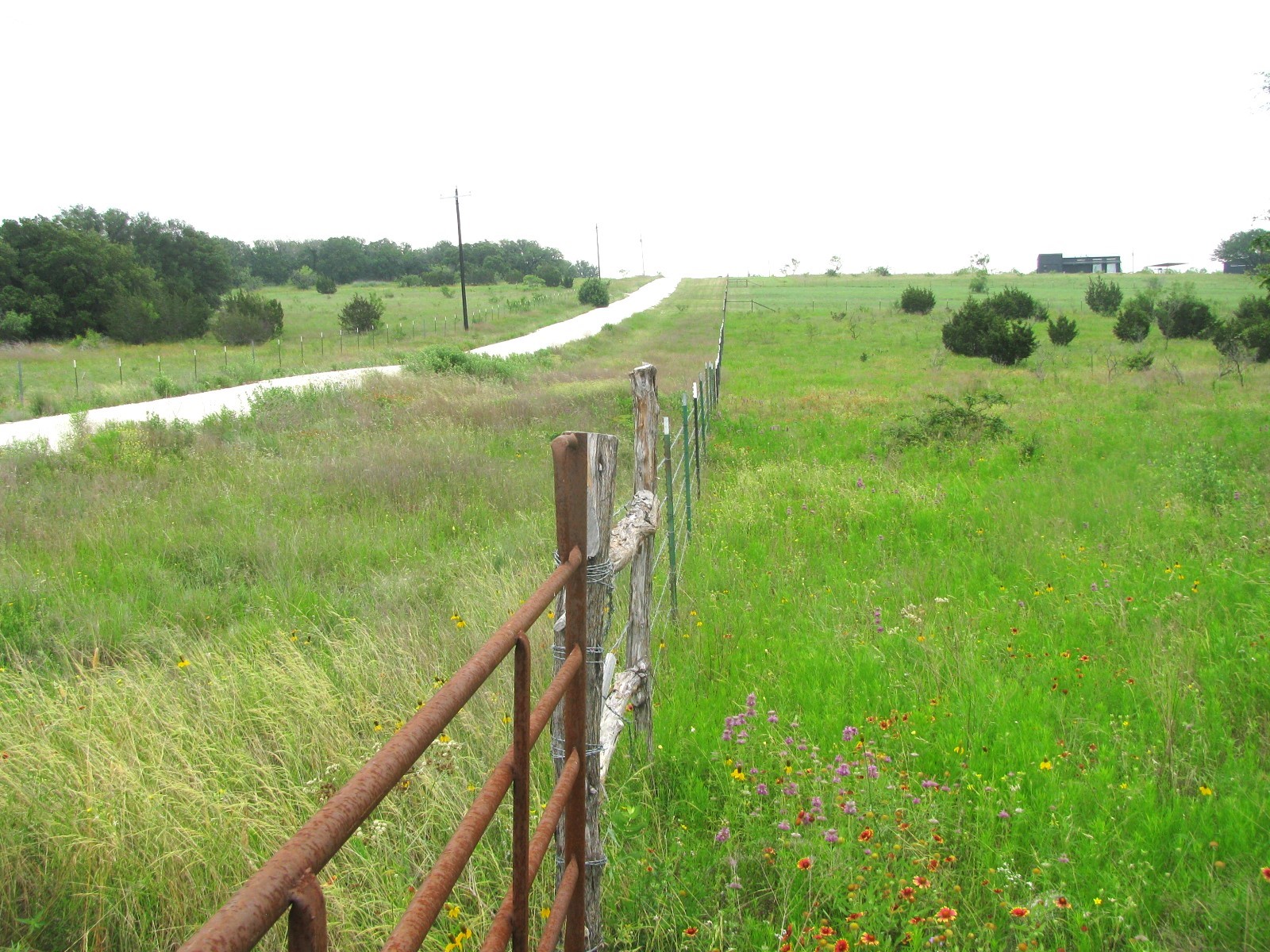 Lot N31 PR 2902
