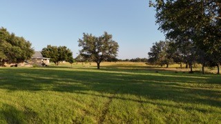 3100 Shady Oaks Drive