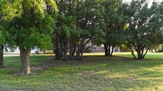 3100 Shady Oaks Drive