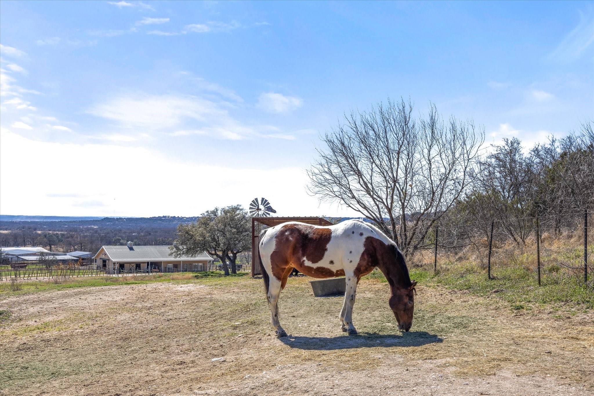 920 Horsemans Drive