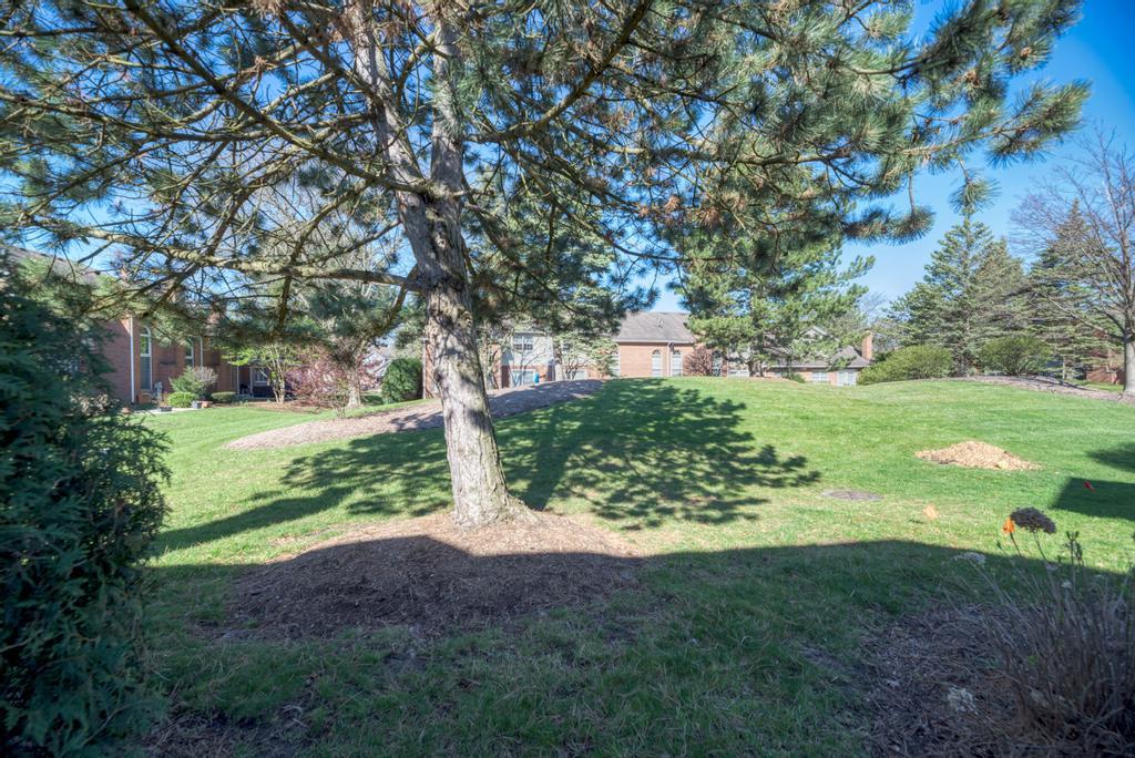 8568 Sandalwood Drive