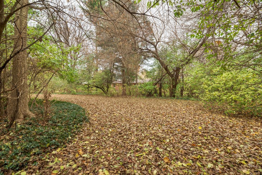 6410 Blackhawk Trail