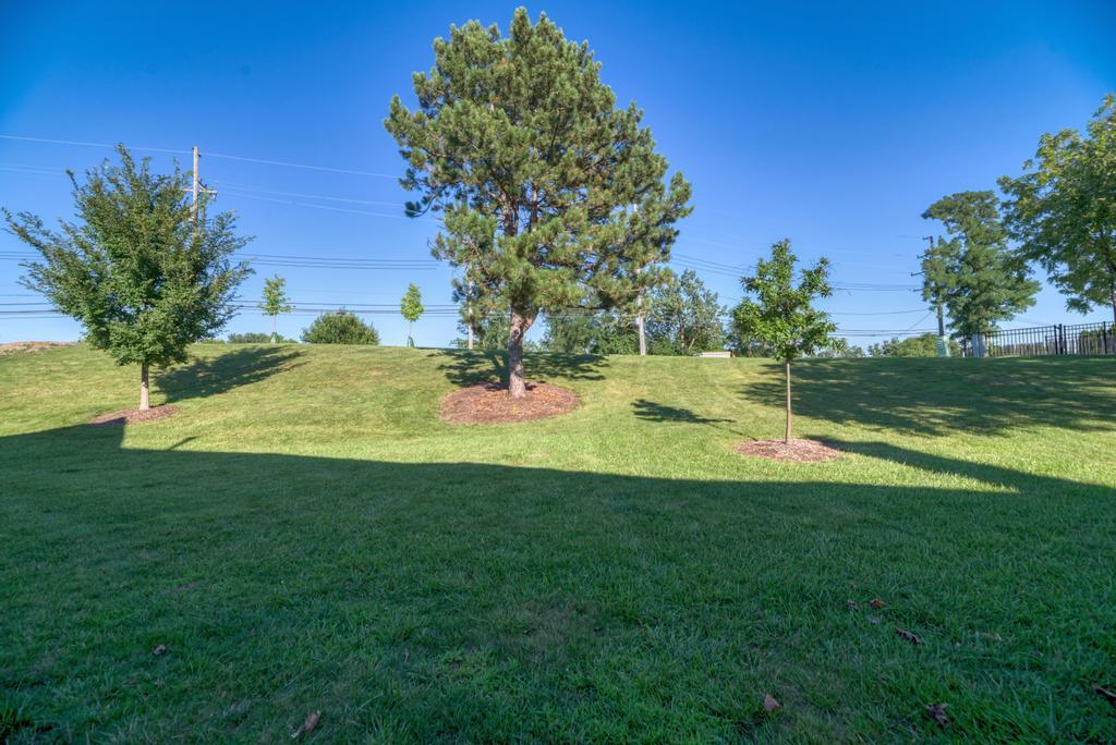 8593 Sandalwood Drive