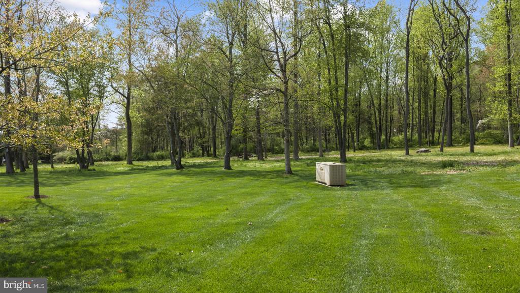 203 WECKS POND
