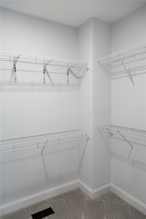 6334 Timber Creek Trail