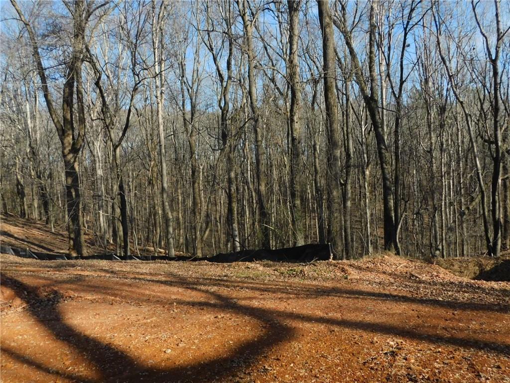 700 Leonard Pruitt Road