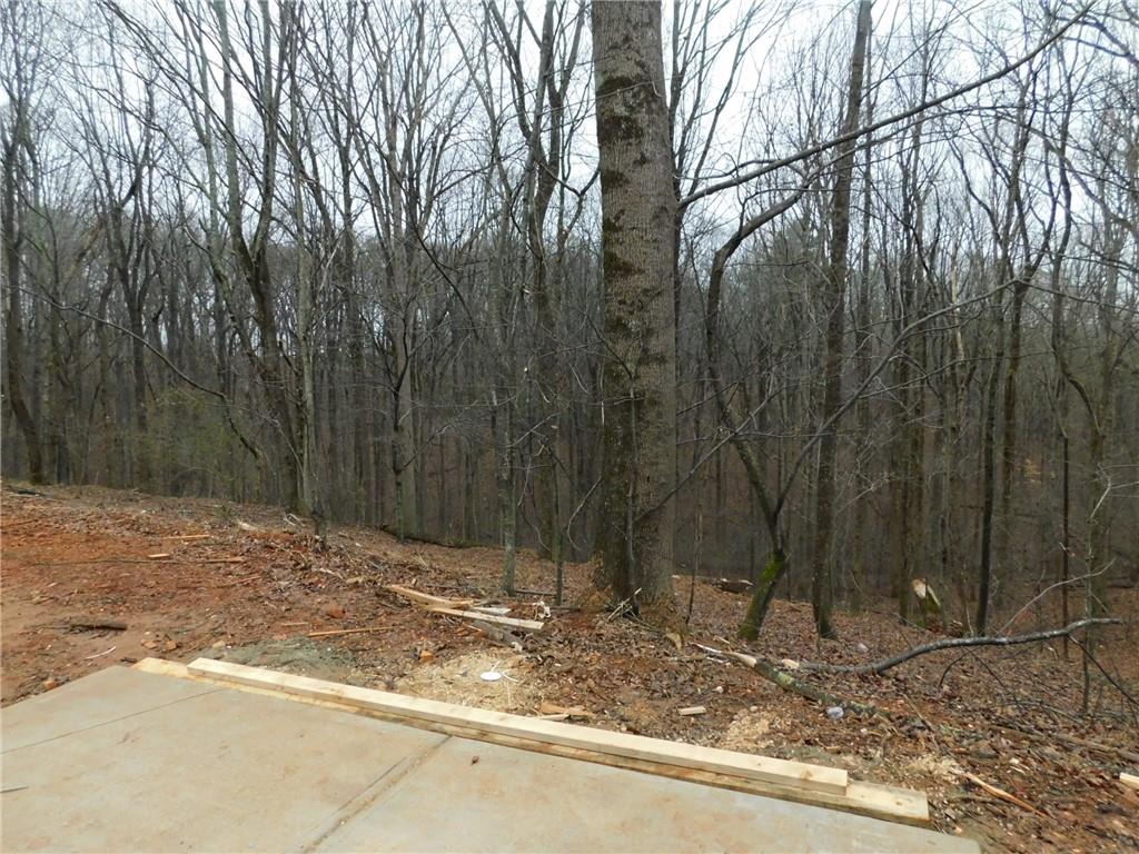 738 Leonard Pruitt Road