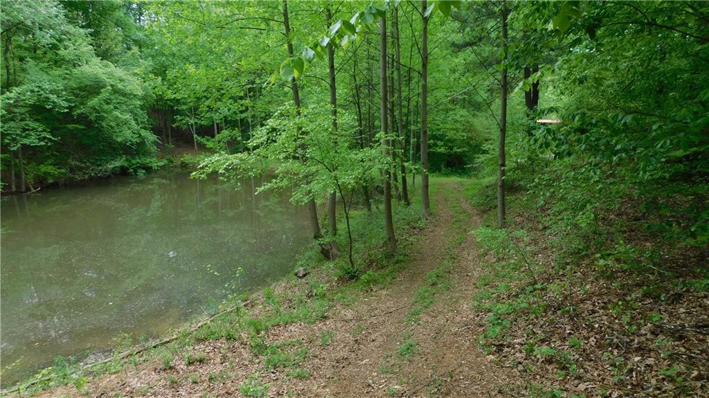 6.21 Acres Pierces Pond Road