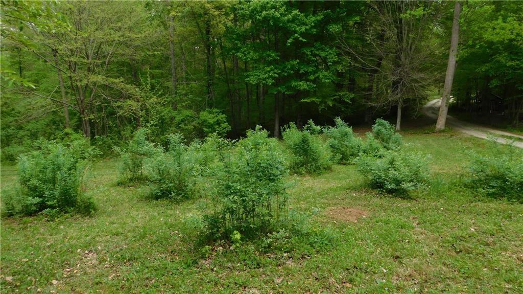 6.21 Acres Pierces Pond Road