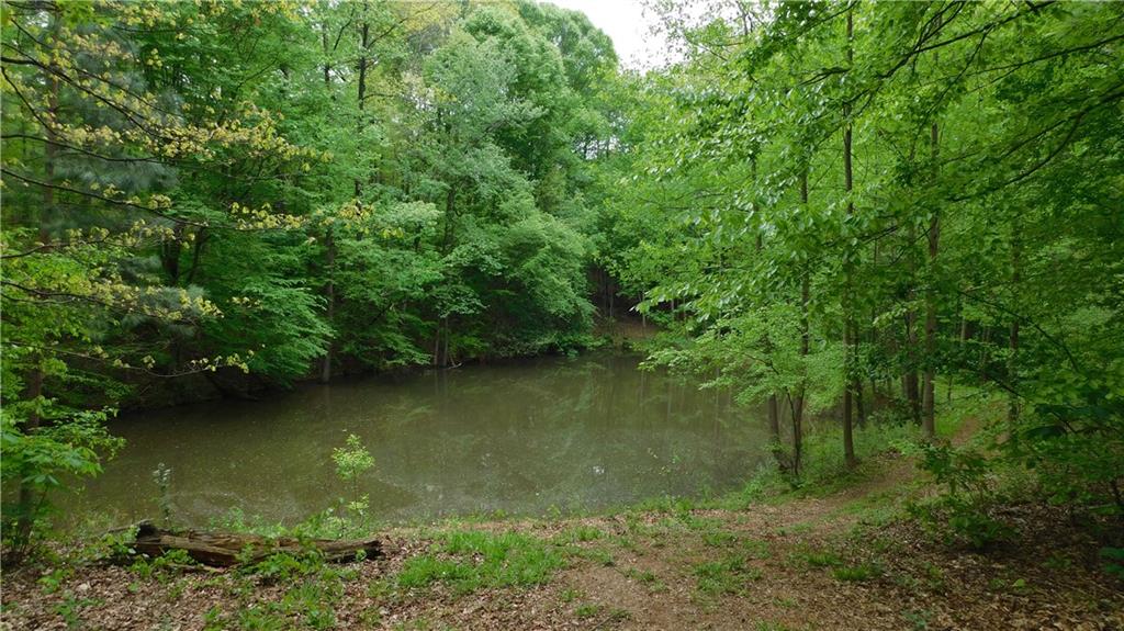 6.21 Acres Pierces Pond Road