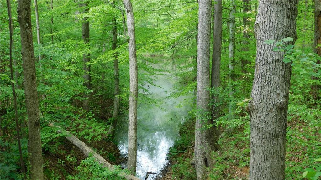 6.21 Acres Pierces Pond Road