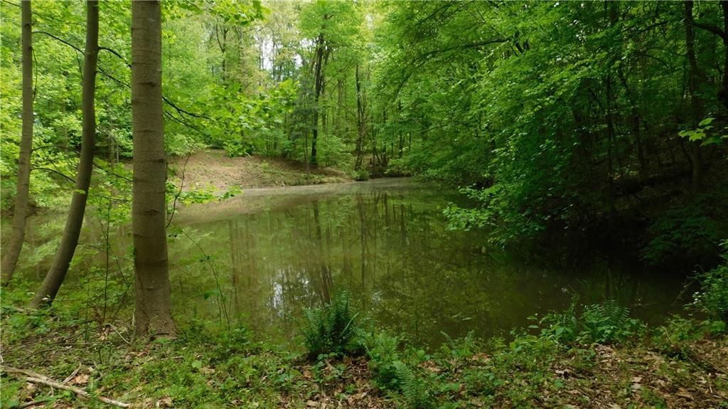 6.21 Acres Pierces Pond Road