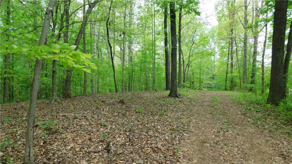 6.21 Acres Pierces Pond Road