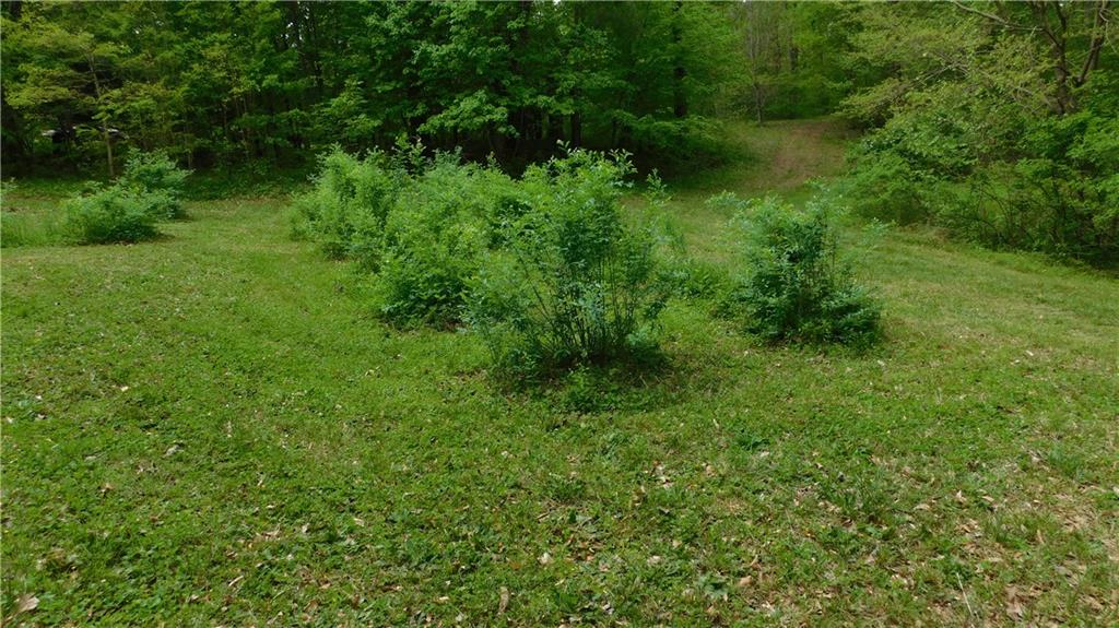 6.21 Acres Pierces Pond Road