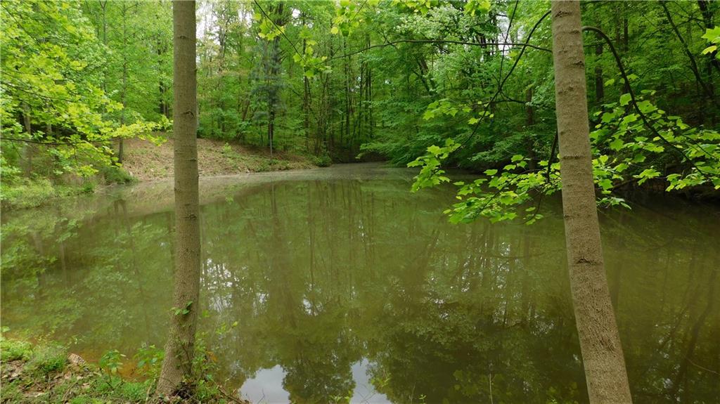 6.21 Acres Pierces Pond Road