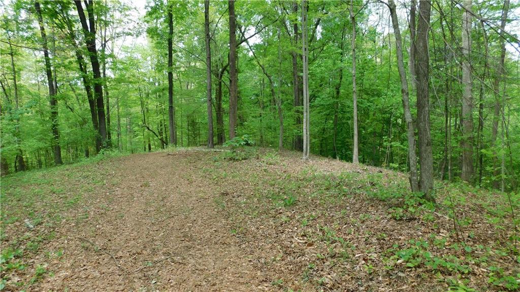 6.21 Acres Pierces Pond Road