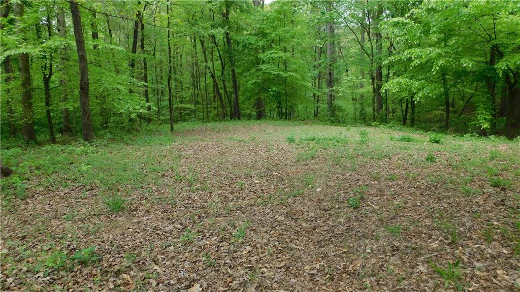 6.21 Acres Pierces Pond Road