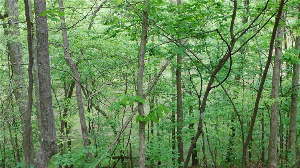 6.21 Acres Pierces Pond Road