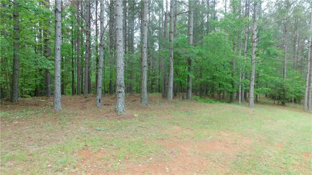 5.59 Acres Larmon Forks Road