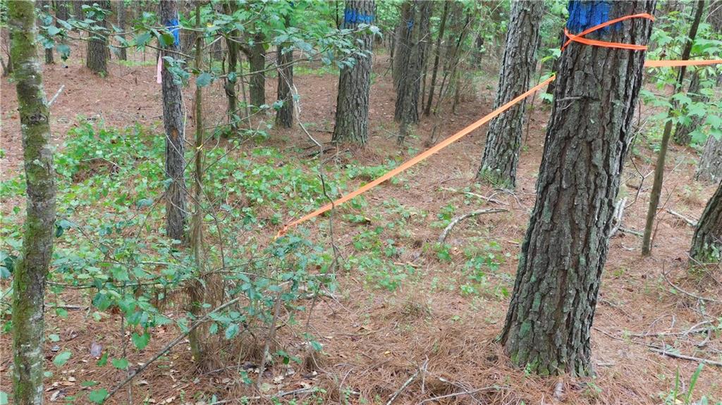 5.59 Acres Larmon Forks Road