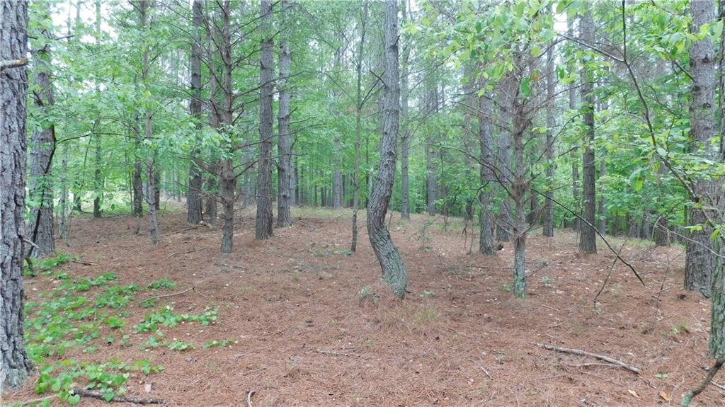 5.59 Acres Larmon Forks Road