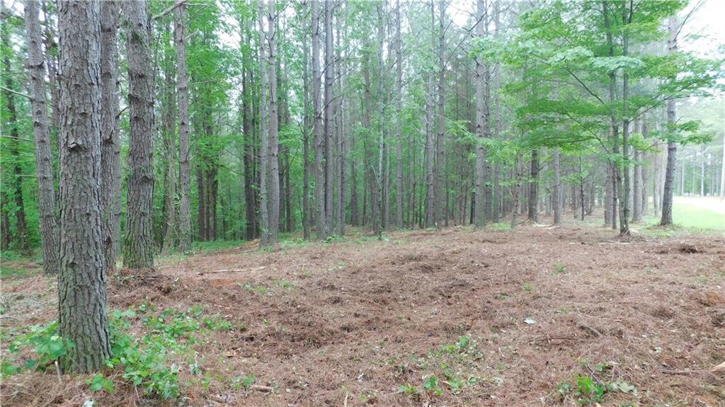 5.59 Acres Larmon Forks Road