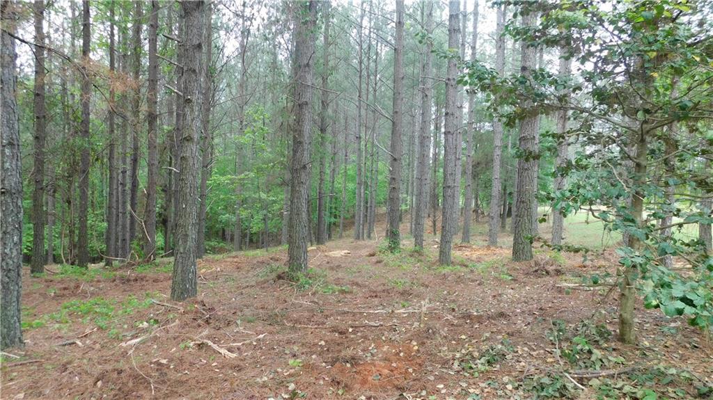 5.59 Acres Larmon Forks Road