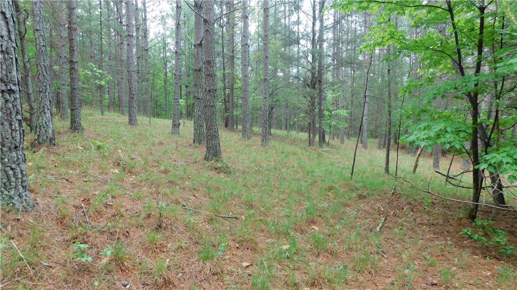 5.59 Acres Larmon Forks Road