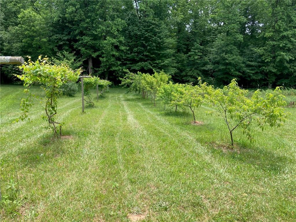 19 Pierces Pond Road