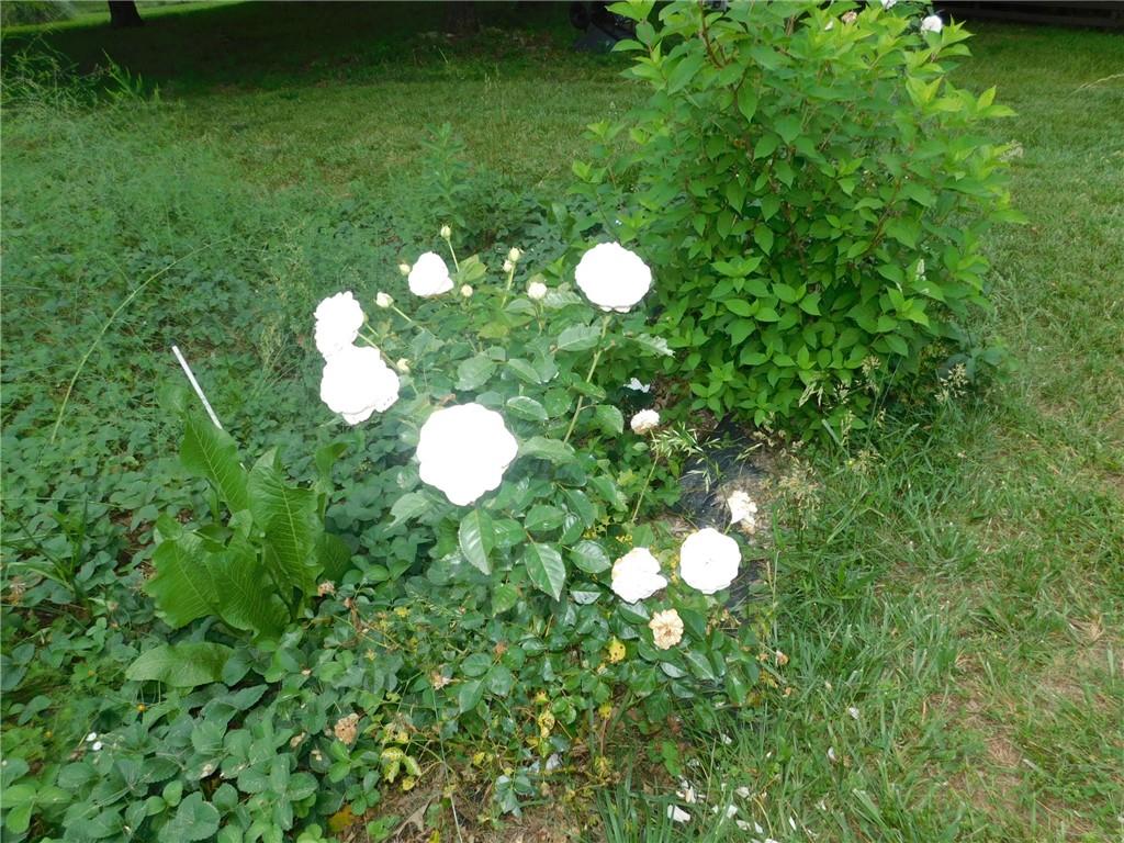 19 Pierces Pond Road