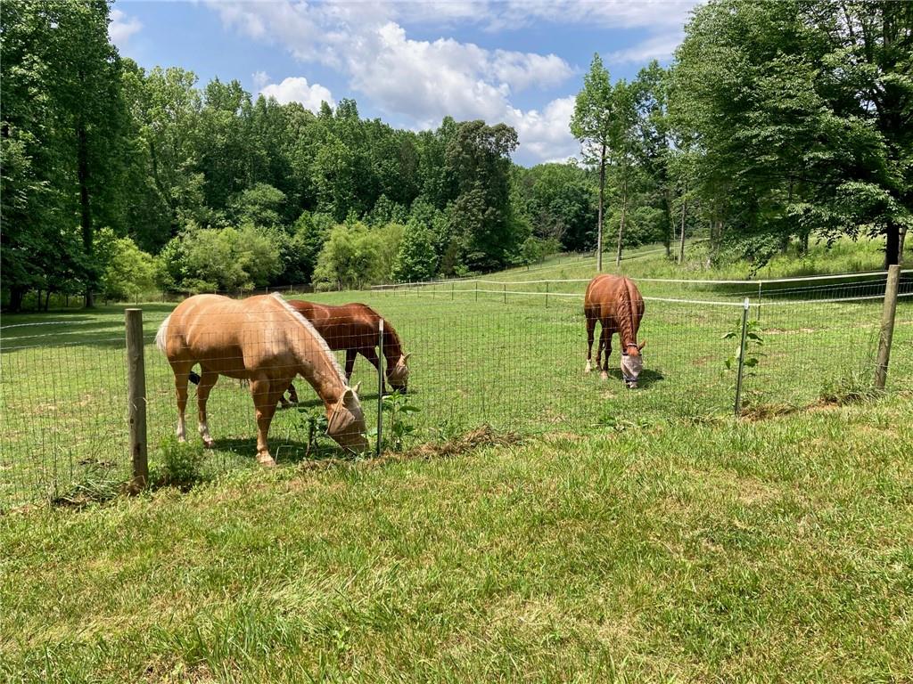 19 Pierces Pond Road