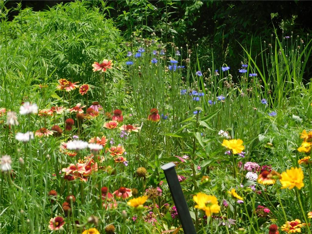 19 Pierces Pond Road