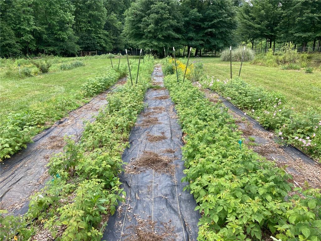 19 Pierces Pond Road