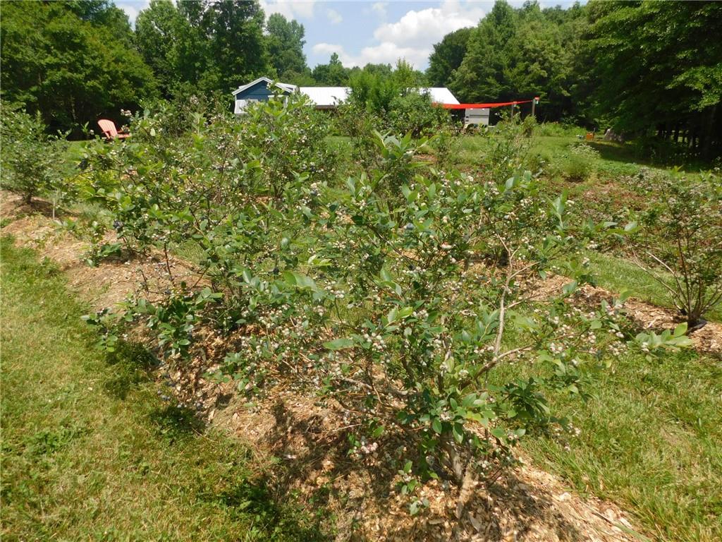 19 Pierces Pond Road