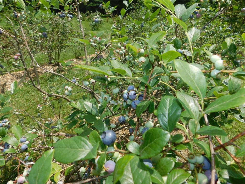 19 Pierces Pond Road