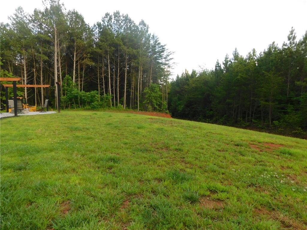 1401 Larmon Forks Road