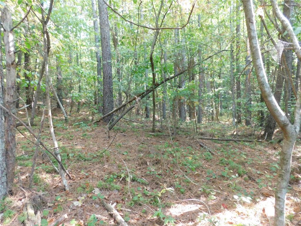 11 Ac. Larmon Forks Road, USA