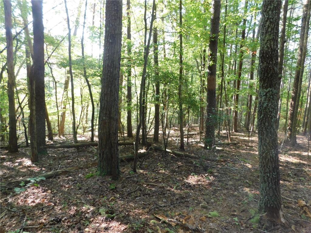 11 Ac. Larmon Forks Road, USA