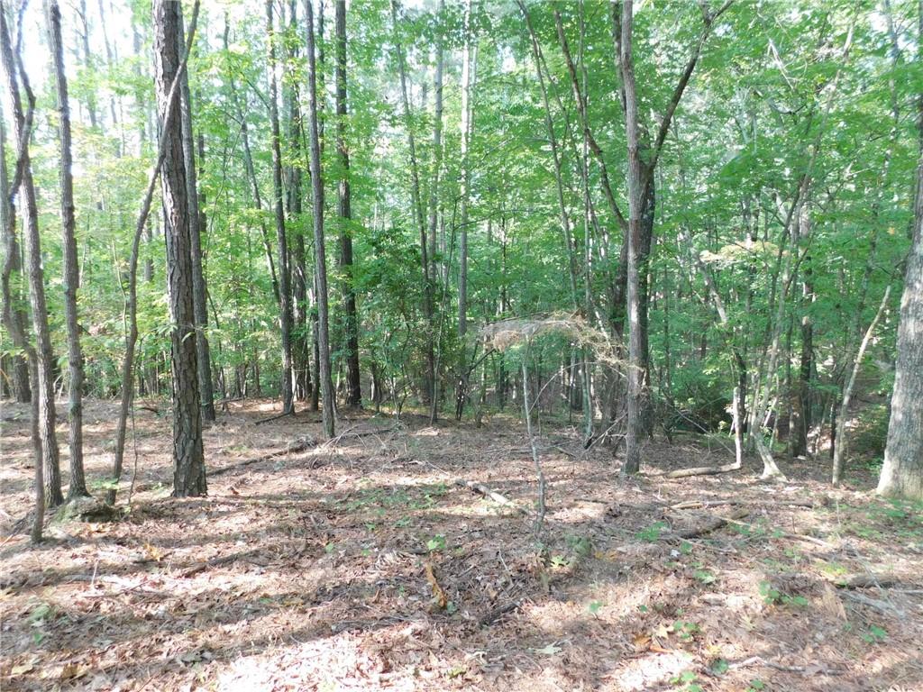 11 Ac. Larmon Forks Road, USA