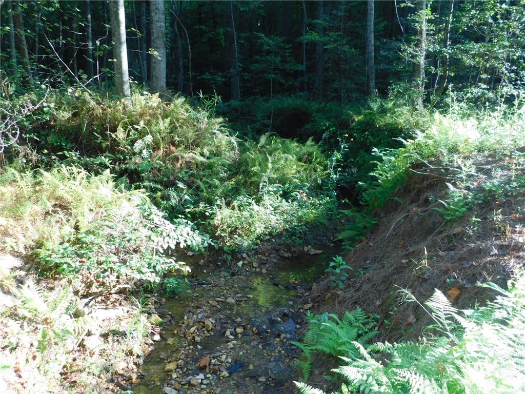 11 Ac. Larmon Forks Road, USA