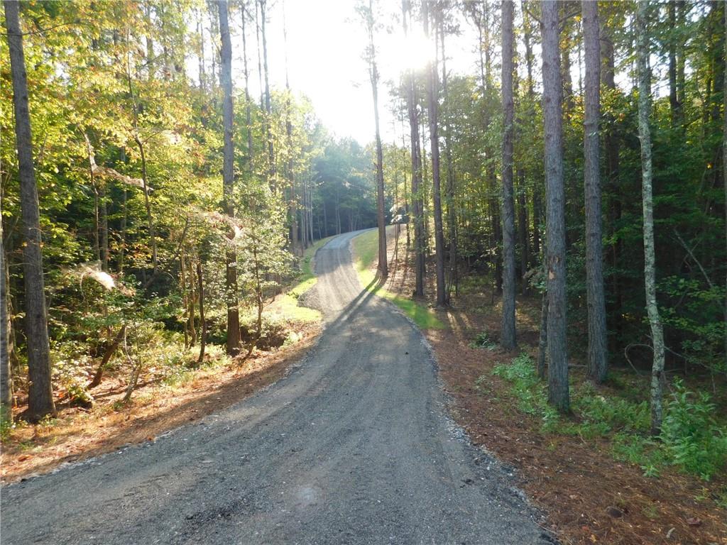 11 Ac. Larmon Forks Road, USA