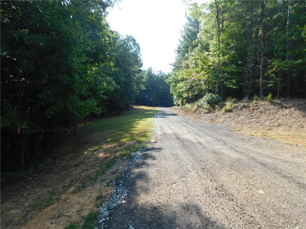 11 Ac. Larmon Forks Road, USA