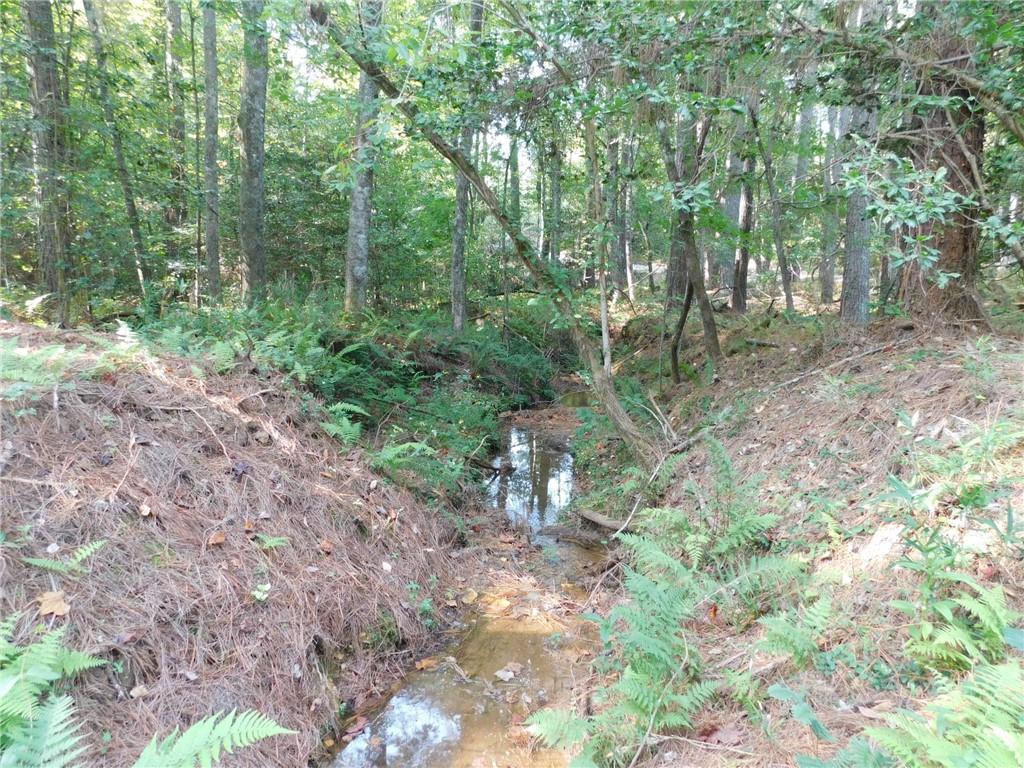 11 Ac. Larmon Forks Road, USA