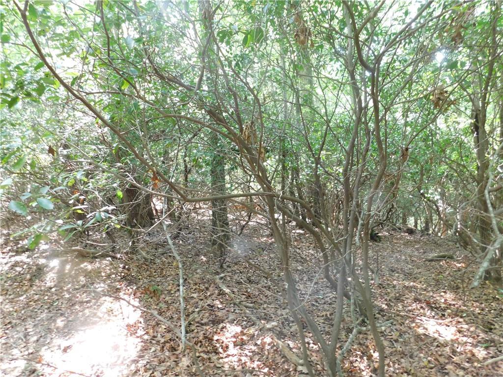 Lot 2 Sweet Apple Lane