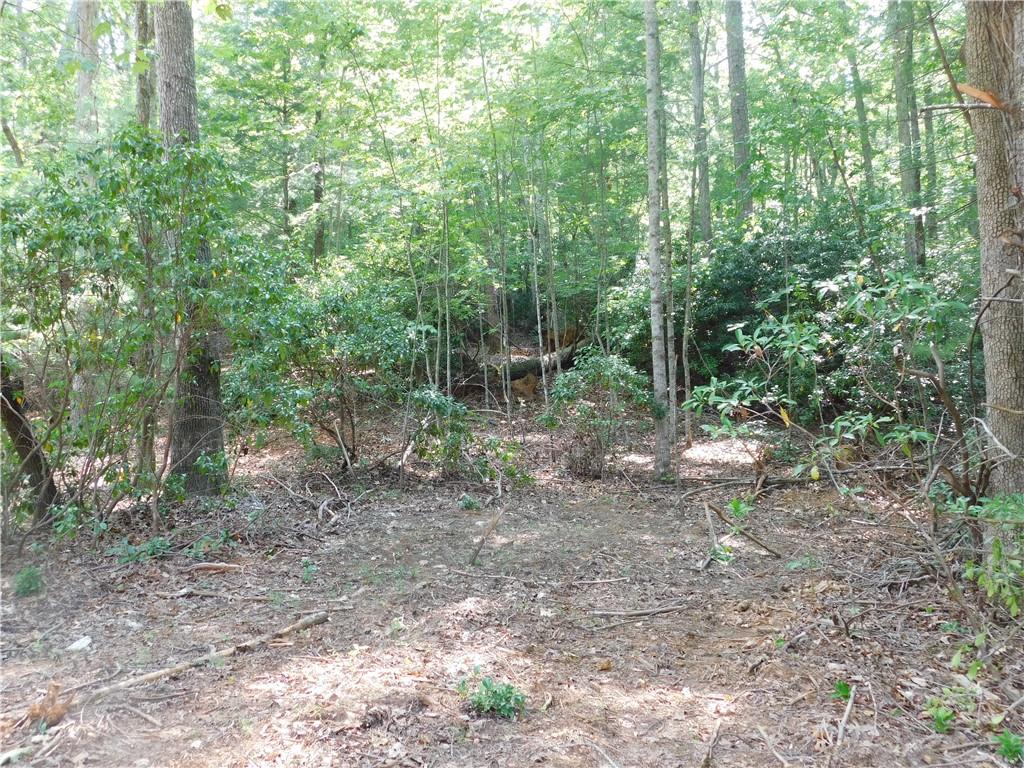 Lot 2 Sweet Apple Lane