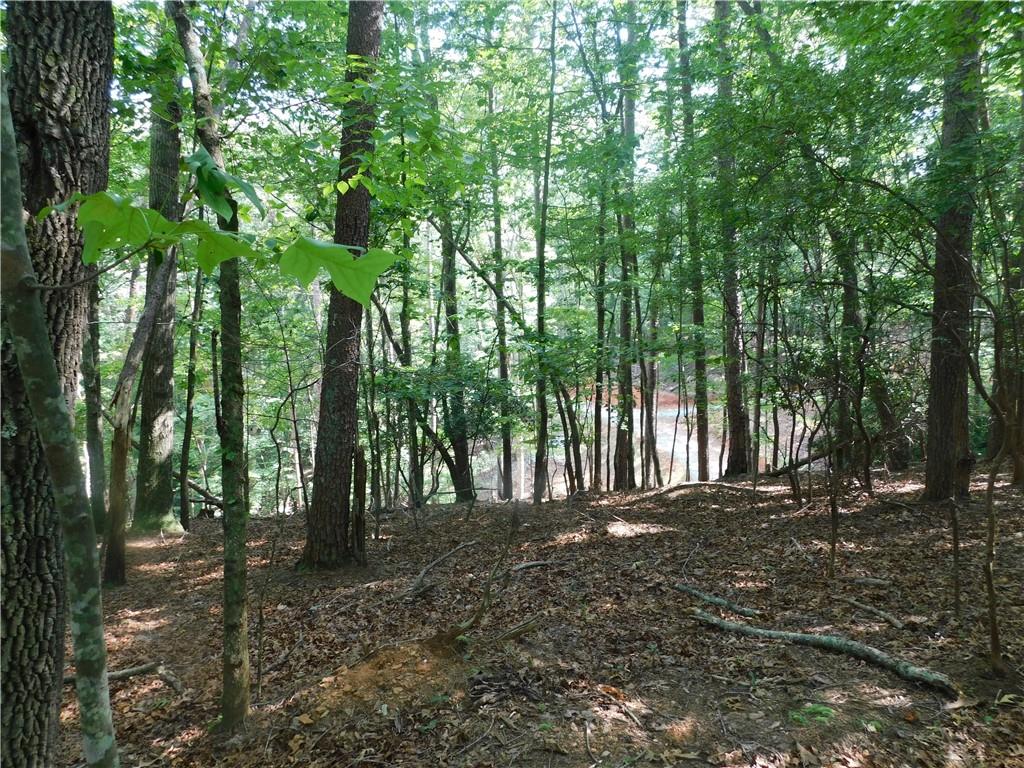 Lot 2 Sweet Apple Lane